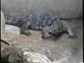 Thailand 92-5 Zoo & Klong