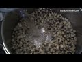 EL COCINERO FIEL # 221 - ENSALADA DE ALUBIAS BLANCAS (BLACK EYED PEAS)
