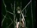 dimmu sha3by