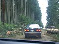 December 14 wind storm