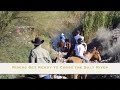 Saguaro Lake Horseback Trail Rides Near Phoenix, Arizona