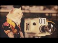 Best Coast – Crazy For You
