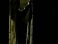 videos de Mr. Serious (Band of Brothers, Winters/Nixon)