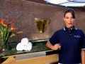 a video grab from funshipshipisland.com with a little sally fields on top.