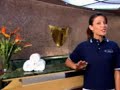 a video grab from funshipshipisland.com with a little sally fields on top.
