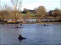 Christmas Day Swim ,Corbally Baths + 