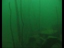 videos de Steinbruch Luise