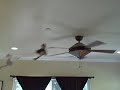 Webkinz Pets Take a Spin on Ceiling Fan