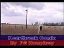 Our gymkhana 3 \"Heartbreak comin\"