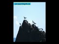 video de Ondarroa