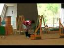 Dog Agility (Jun/27/2007 JKC Final Jumping Large Vol.11)