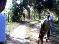 videos de PICT0162