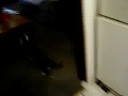 FrogBlog 25