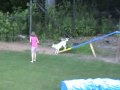 Mango Music Video- Wonder Woof agility- Are You Ready?