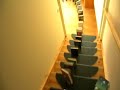 book dominoes part 1