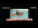 Nippon Television-Mixed Reality Lab,Adrain David Cheok Nippon Television-Mixed Reality Lab,Adrain David Cheok