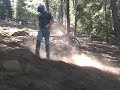 eat a tree eat a tree
