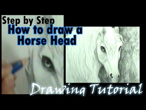 how to draw head of a horse