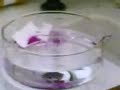 Expérience chimique Expérience chimique
