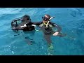 Mo Scuba Diving