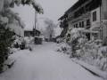 neve a Borgomanero 06.01.2009