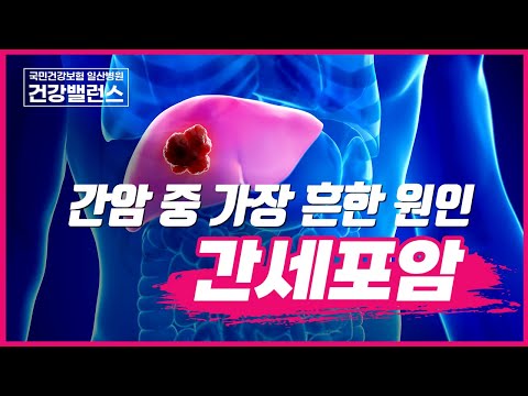 [건강밸런스] 간암 중 가장 흔한 원인 간세포암!
