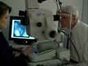 Macular Degeneration Macular Degeneration