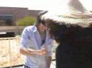 Rocky Papery Scissory V trailer 2 Rocky Papery Scissory V trailer 2
