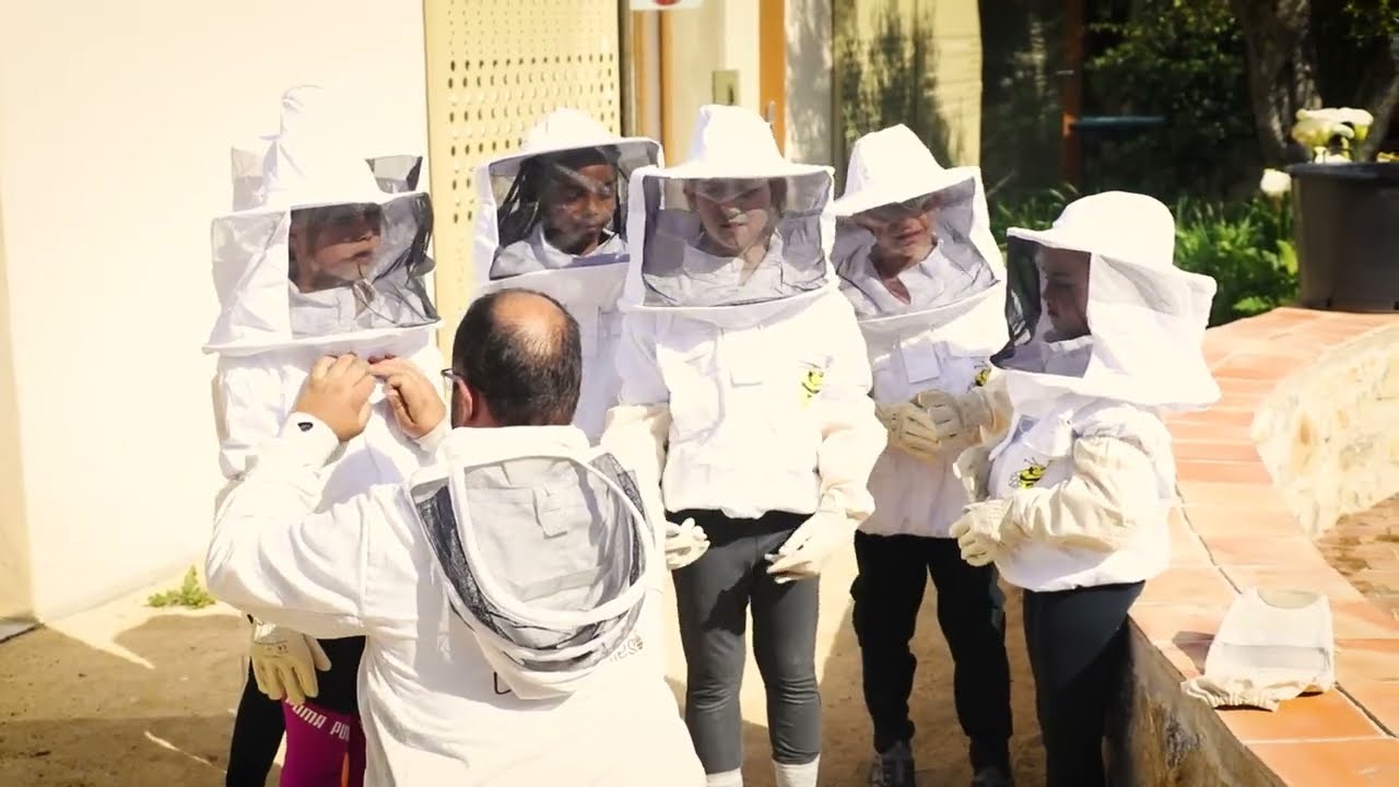 Sanary - Les enfants découvrent les pollinisateurs au Jardin des Oliviers