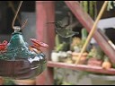 Hummingbird feeding Hummingbird feeding