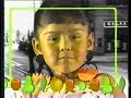 Comercial - Fruna D\
