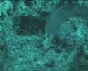 www.turkdivers.com
