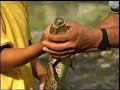 Cayman Farm (from \"Adventures in Nicaragua\" DVD) Cayman Farm (from \"Adventures in Nicaragua\" DVD)