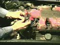 replacing the distributor replacing the distributor