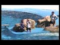 Sea World Trick