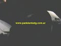 Saludos de Pablo Lescano