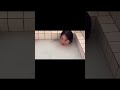 白濱美兎さん　スピリッツ12号オフショット動画　インスタリール　#水着女子 #かわいい #可愛い #cute #白濱美兎