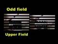 interlaced video/FCP tutorial
