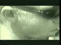 Crazy Fool - Sublime