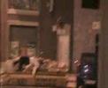 Asesinato en Huelin Street