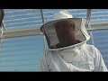 INSIDE BEES: Dakota and tristan Attend Bee School