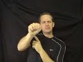 Open Captioned / Subtitled Add to ASL Vlog?