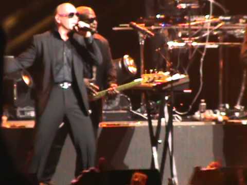 Pitbull
