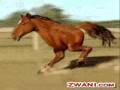 videos de grunge zwani