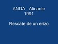 rescate de un erizo