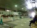 Furry Flash Dogsports Flyball Video 1, Warman, SK