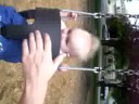 Elaine_swinging