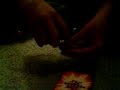 Joining two bakugan Joining two bakugan