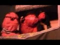 The Cock Story