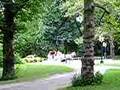 the sightseeing barouche in the Central Park